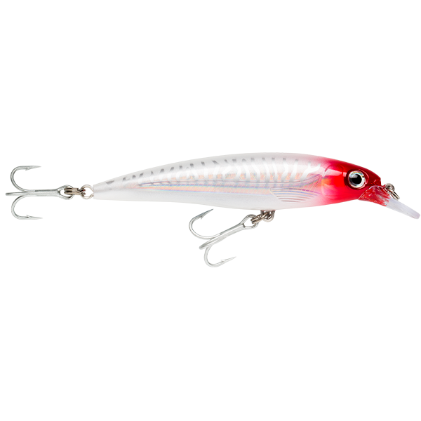 Rapala X-Rap Saltwater SXR14