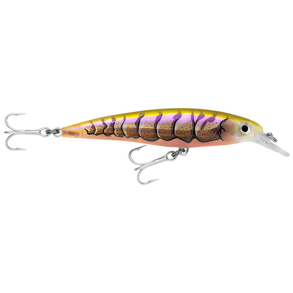 Rapala X-Rap Saltwater SXR12