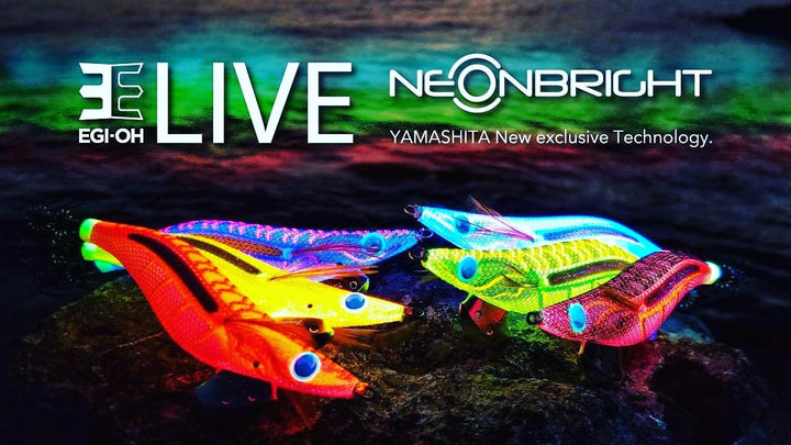 Yamashita EGI OH Live Neon Bright #3.0