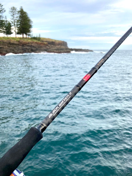 N.S Black Hole Black Water II Egi Rods