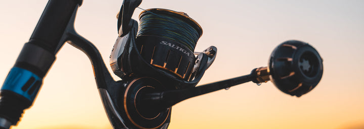 Daiwa 23 Saltiga Reel