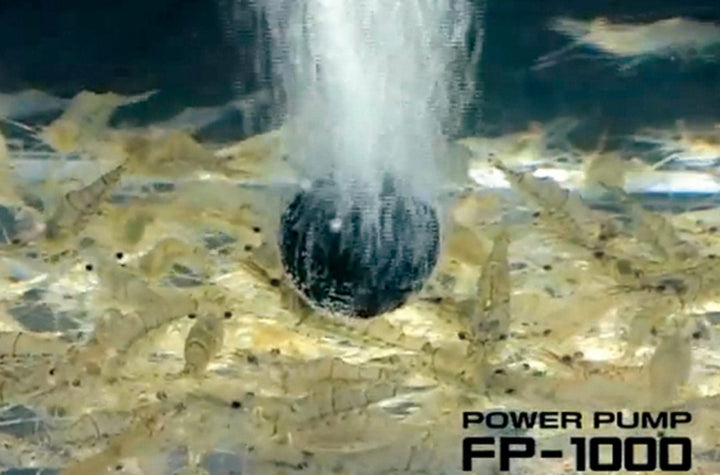 Fuji-Toki Power Pump FP-1000