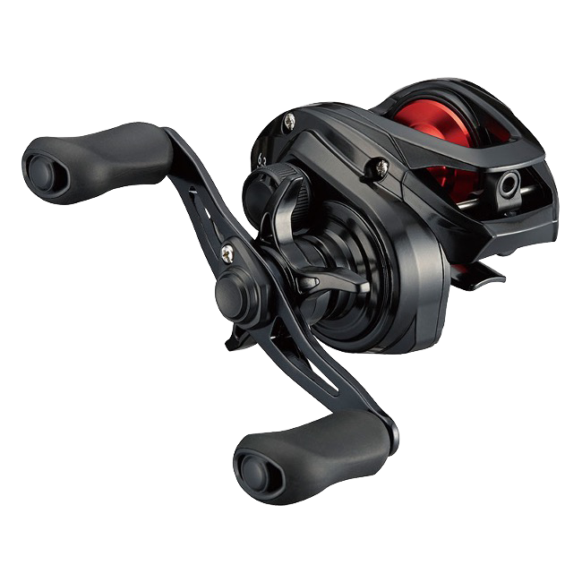 Daiwa 21 PR100 Baitcast Reel