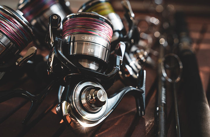 Daiwa 21 Certate SW Reel