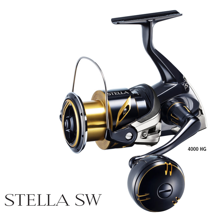 Shimano Stella SW 19 Reel