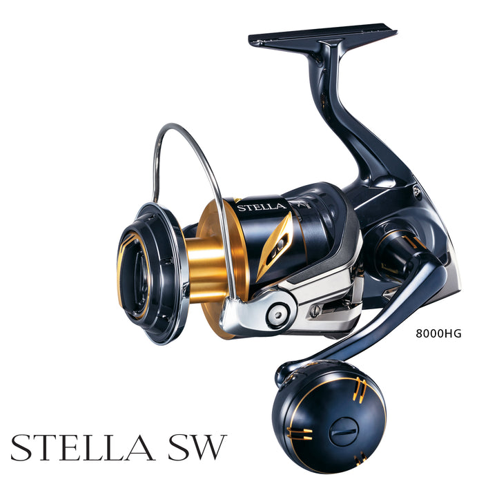 Shimano Stella SW 19 Reel