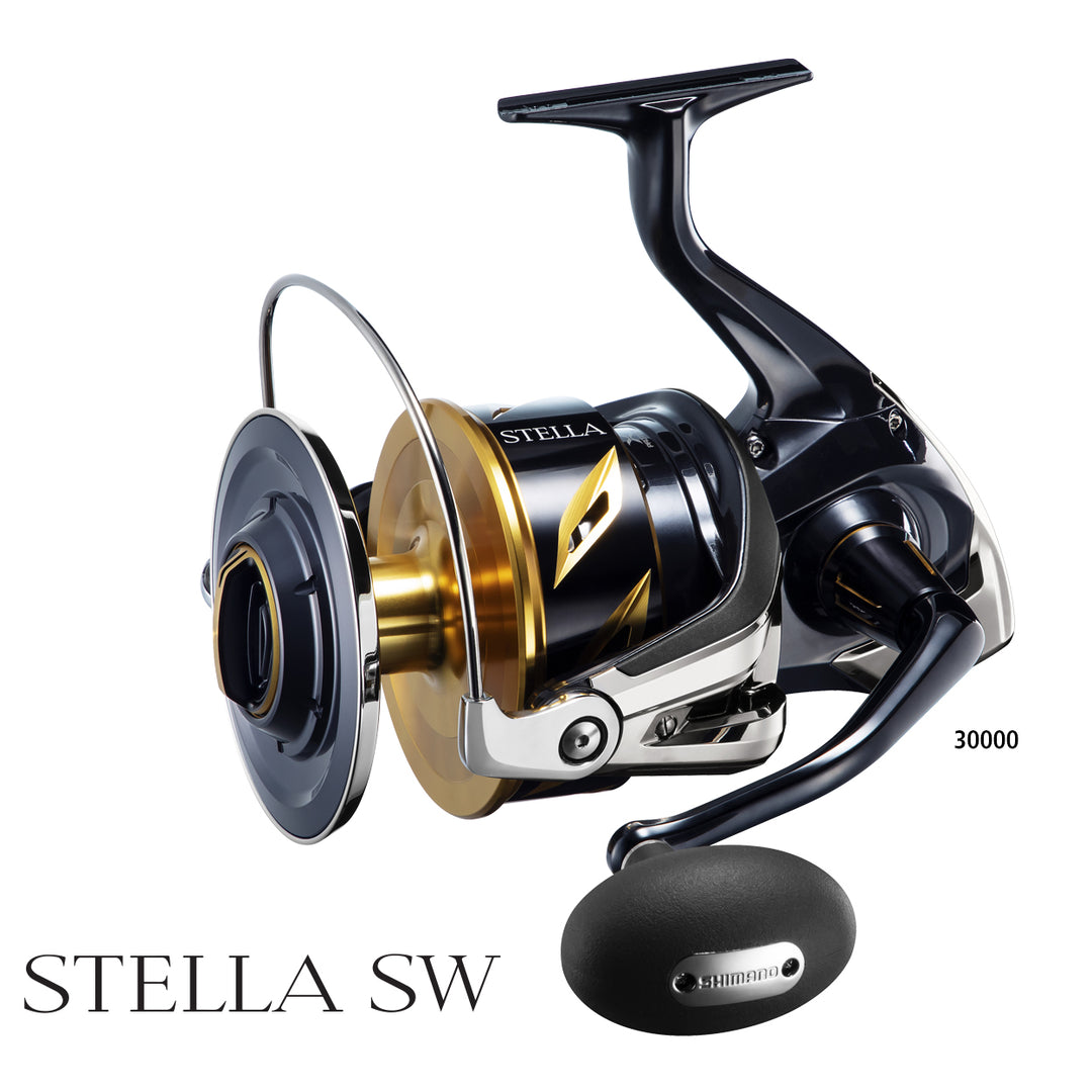 Shimano Stella SW 19 Reel