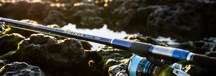 Daiwa 21 Saltiga Surf Rod