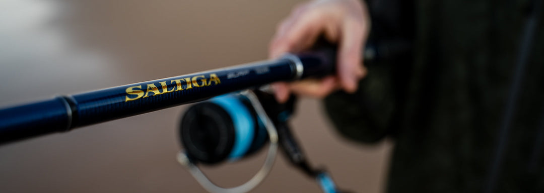 Daiwa 21 Saltiga Surf Rod