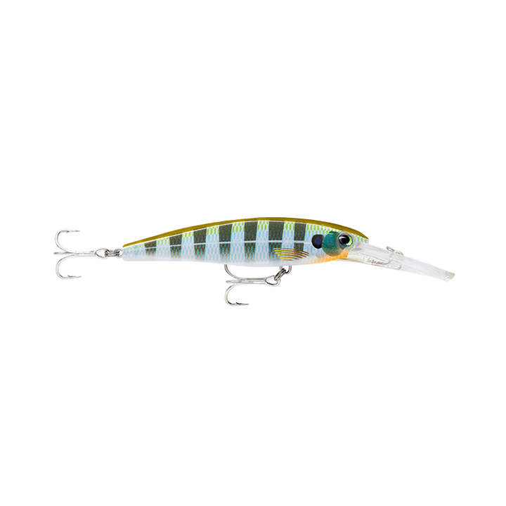 Rapala X-Rap Saltwater Deep SXRD11