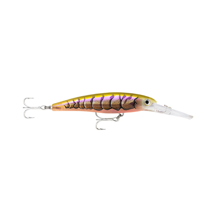 Rapala X-Rap Saltwater Deep SXRD11