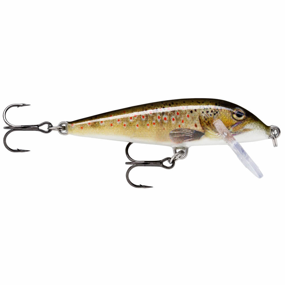 Rapala Countdown Sinking Lure CD05