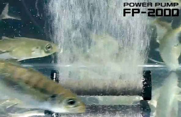 Fuji-Toki Power Pump FP-2000