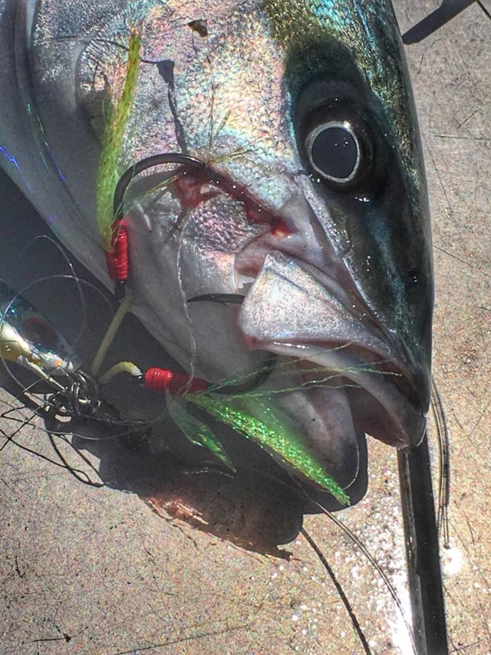 Mustad Jigging Assist Light Rig Hooks – Anglerpower Fishing Tackle