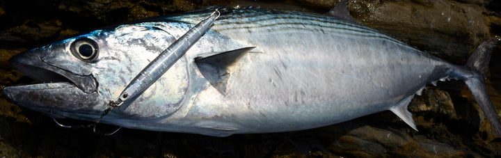 Palms Slow Blatt Cast Long Metal Jig 60g